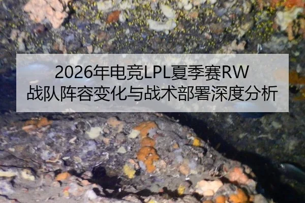 2026年电竞LPL夏季赛RW战队阵容变化与战术部署深度分析